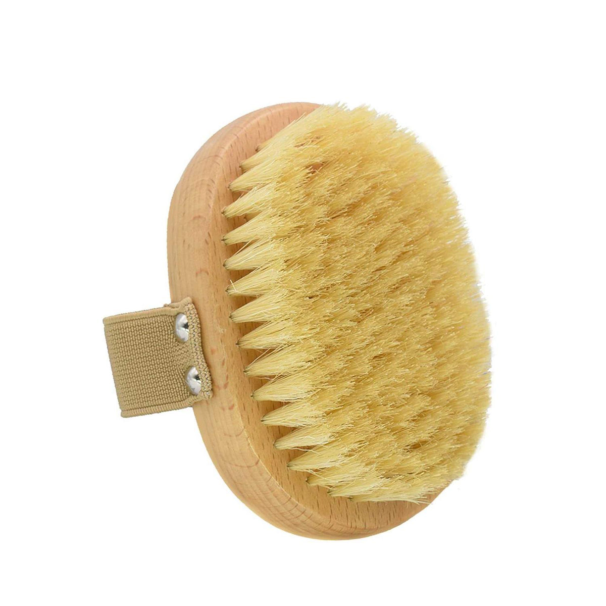 Soft Bristle Dog Brush with Elastic Band M27358