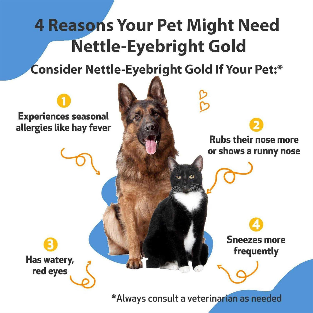 Nettle Eyebright for Dogs X91551