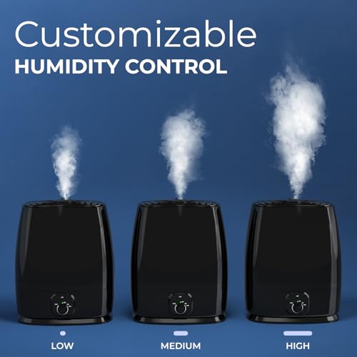 6L Cool Mist Humidifier A8866