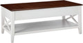 Brown And White Lift Top Coffee Table E198