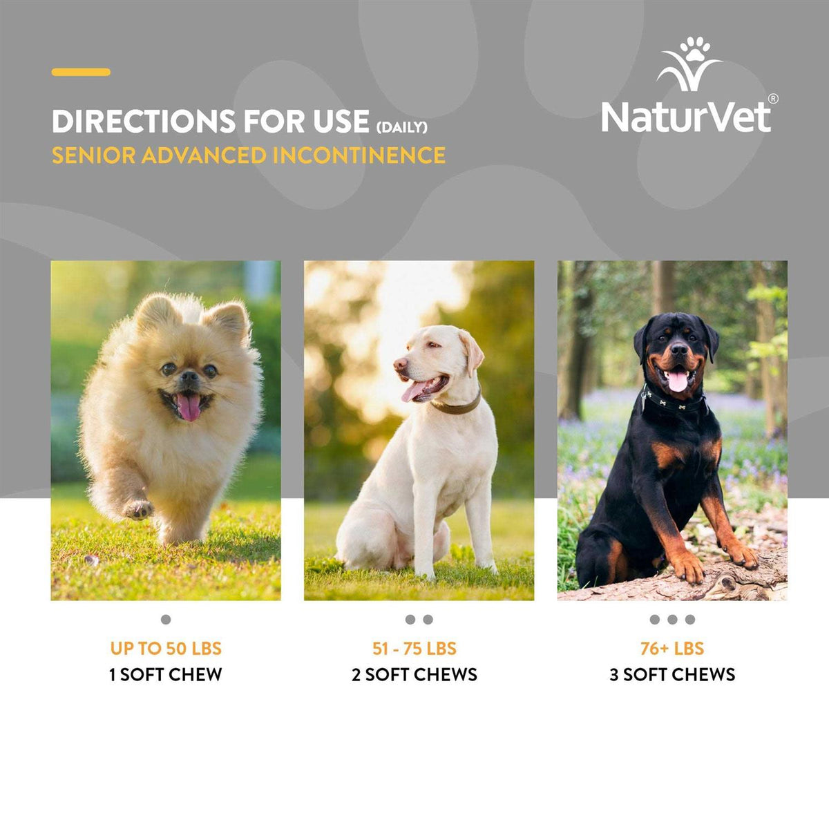 Senior Incontinence Soft Chews K965