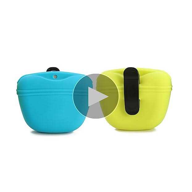 Silicone Dog Treat Pouch with Magnetic Closure and Waist Clip Q93195