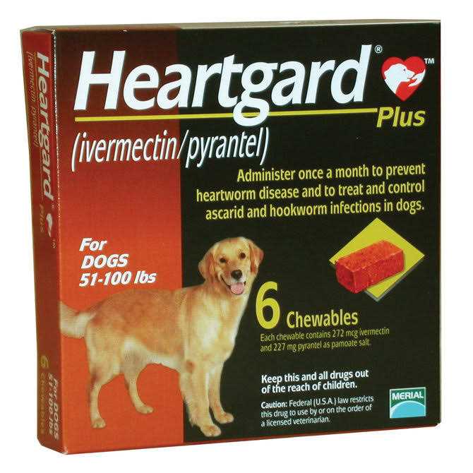 Chewables for Dogs G832
