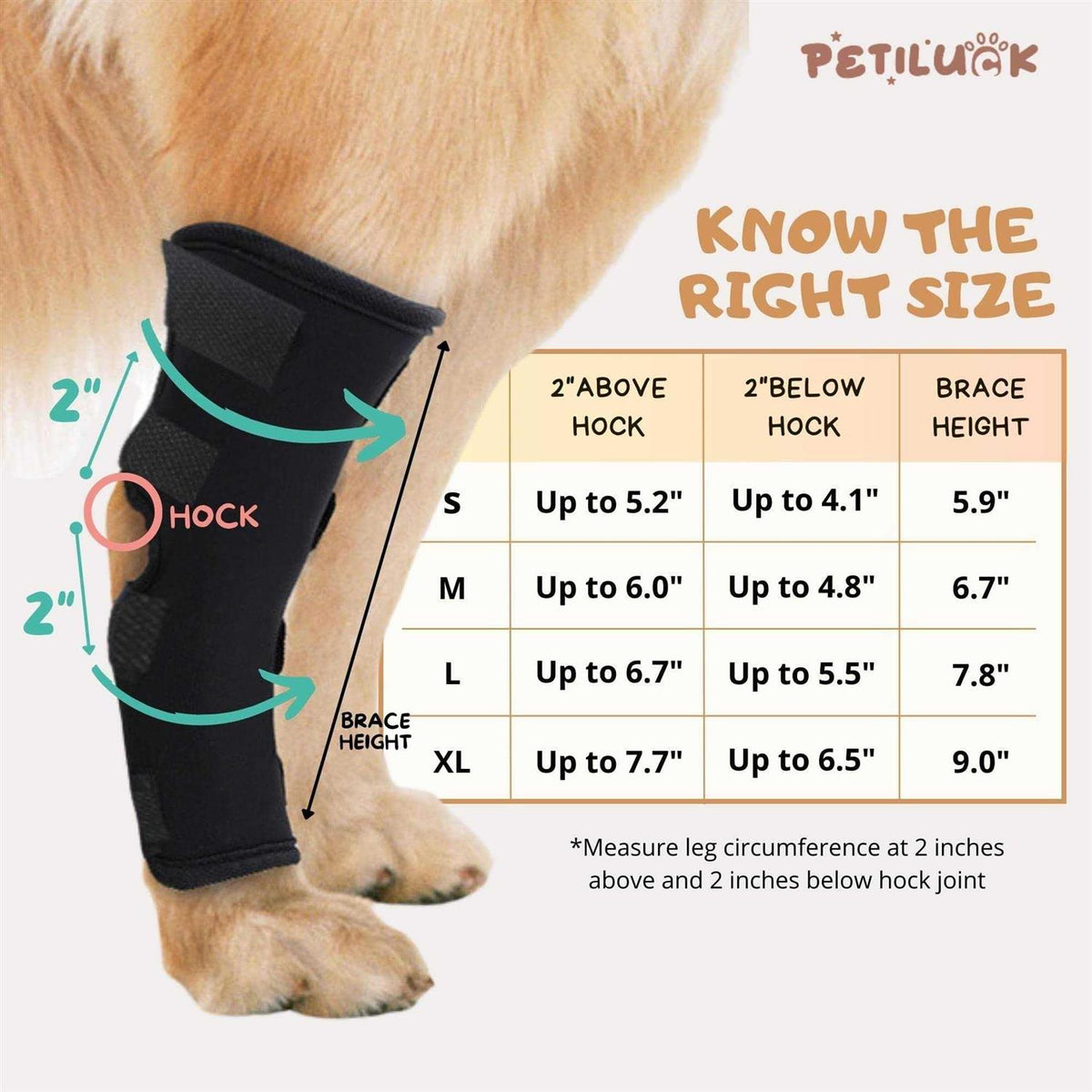 Waterproof Dog Rear Leg Hock Joint Wrap Z6518
