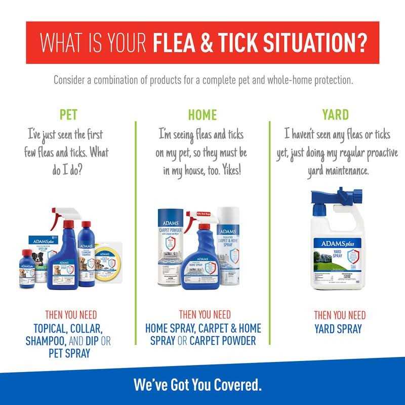 Flea Tick Shampoo V221