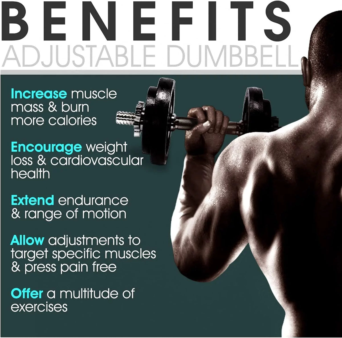 50 lbs Adjustable Cast Iron Dumbbell Set C58179