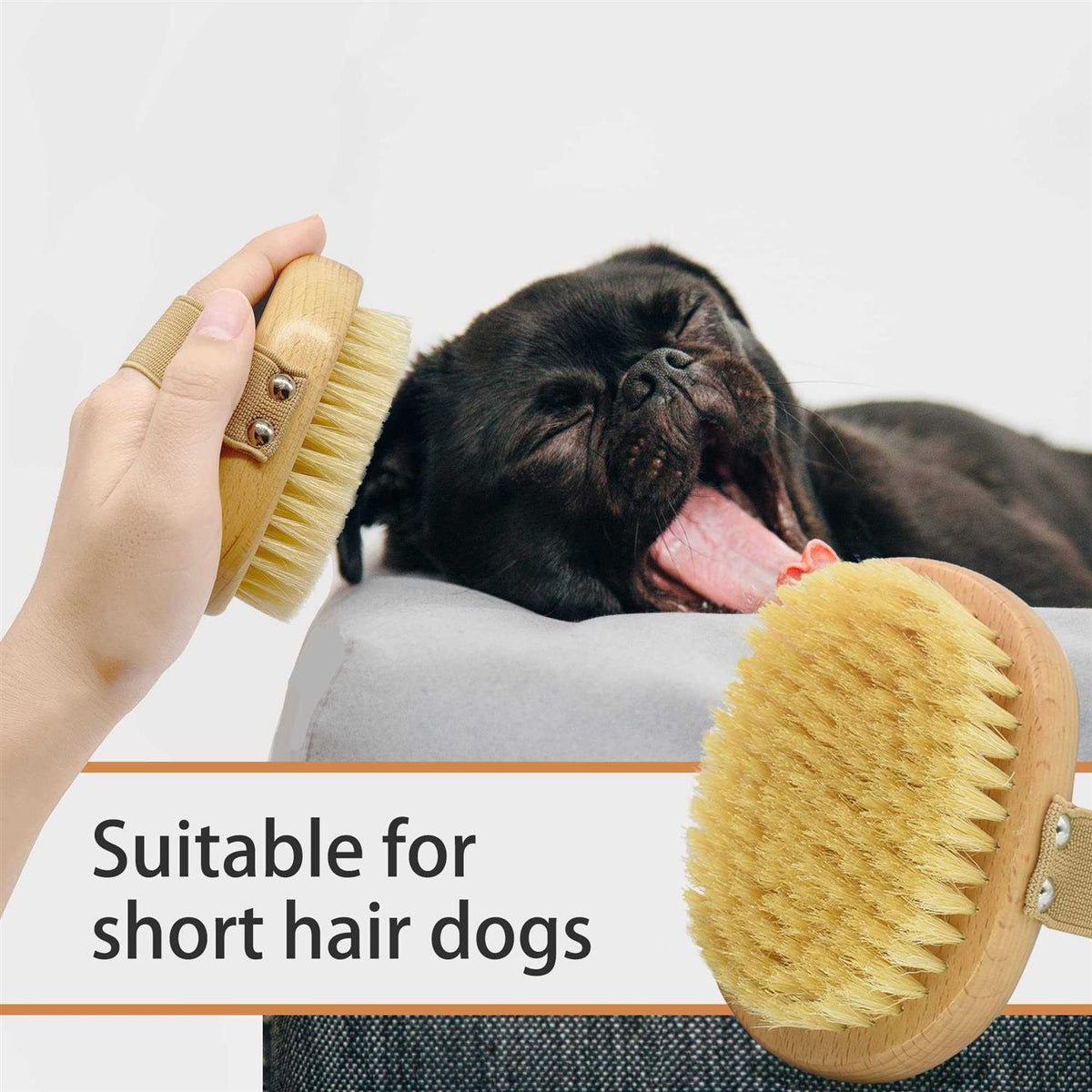 Soft Bristle Dog Brush with Elastic Band M27358