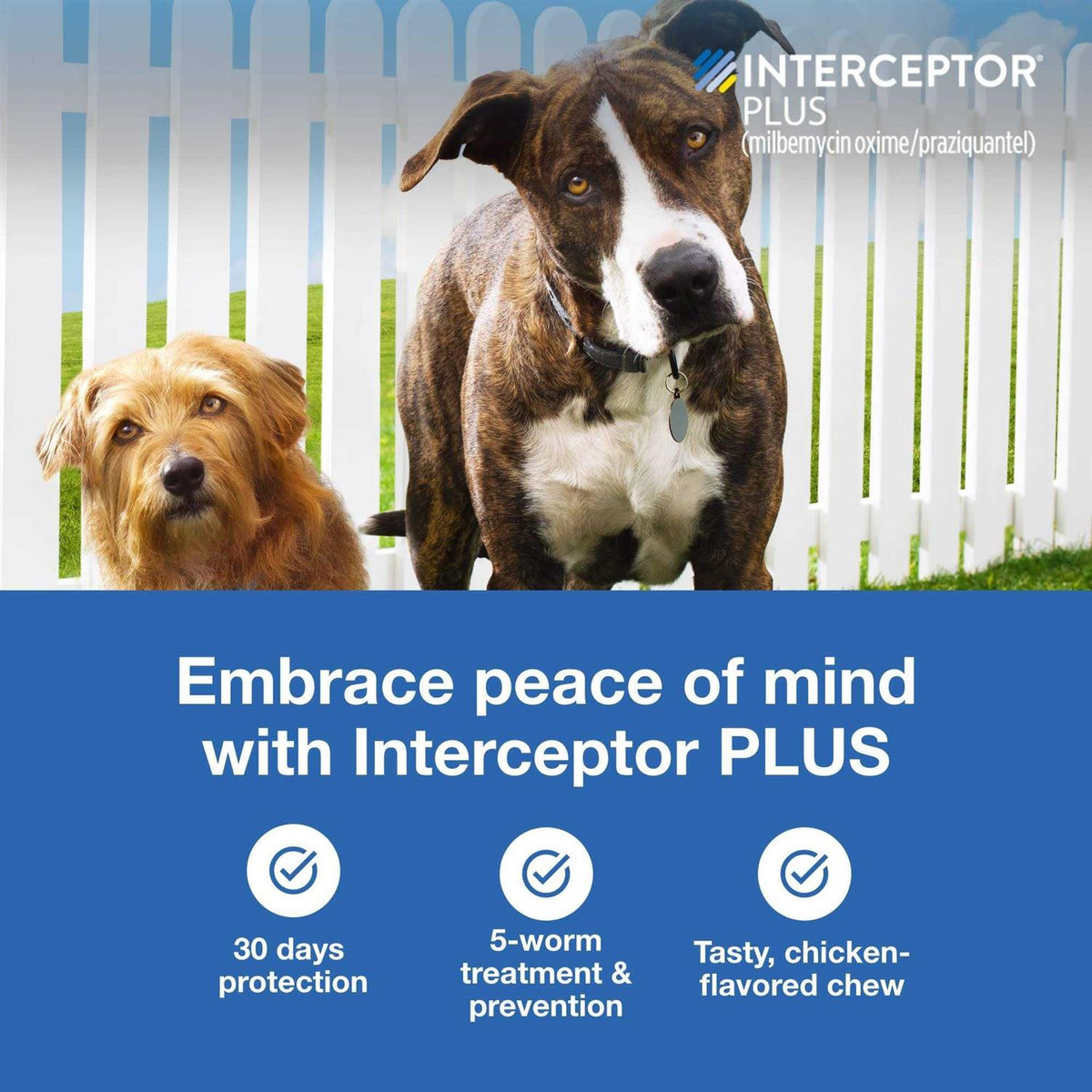 Chewable for Dogs C147