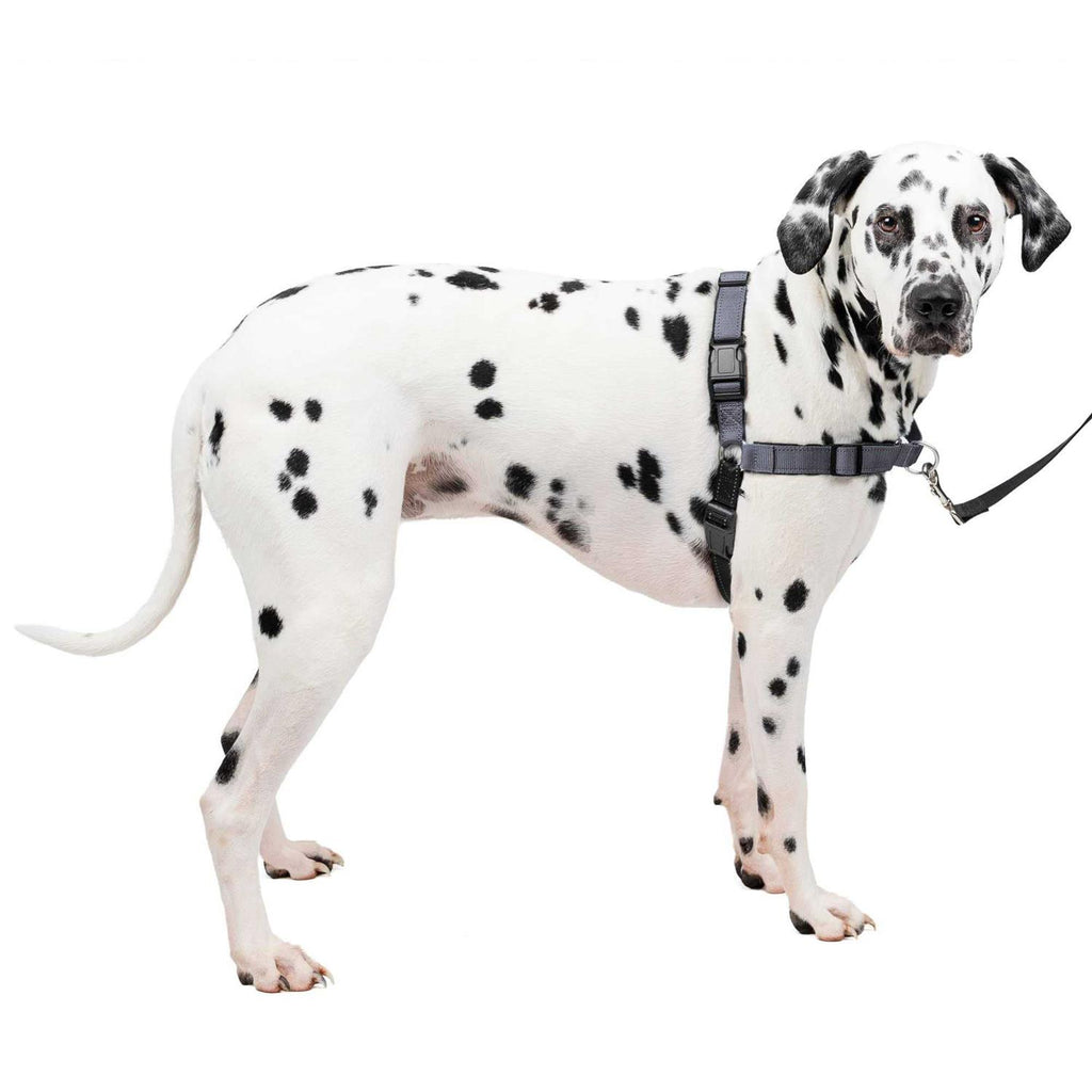 Easy Walk Harness Y246