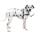 Easy Walk Harness Y246