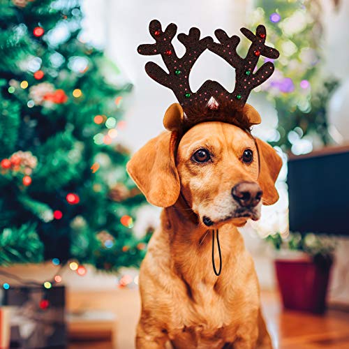 3 Pack Christmas Dog Headband C76267