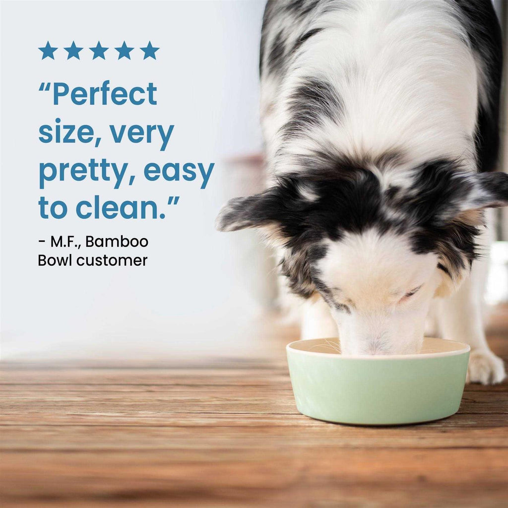 Bamboo Bowl Q920597
