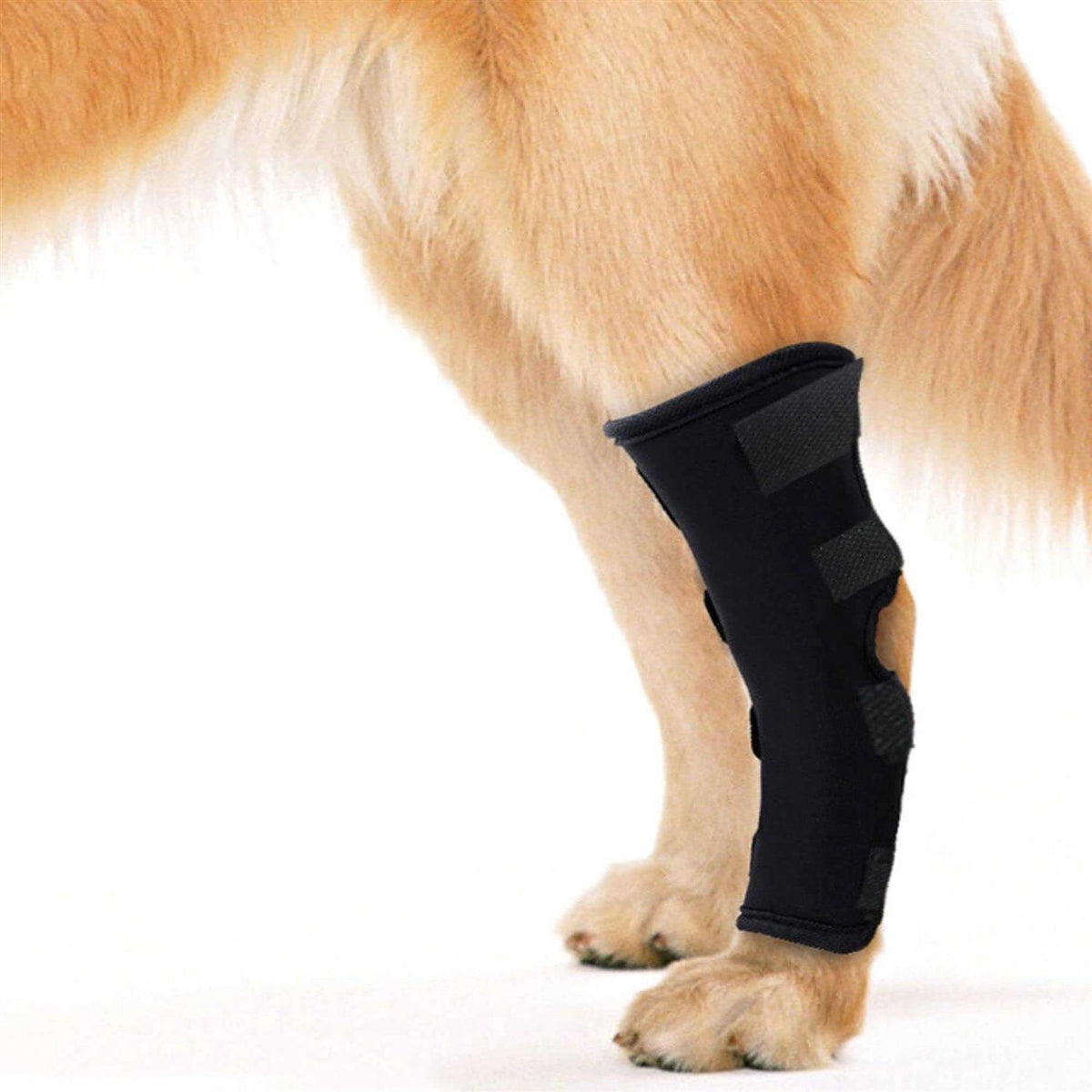 Waterproof Dog Rear Leg Hock Joint Wrap Z6518