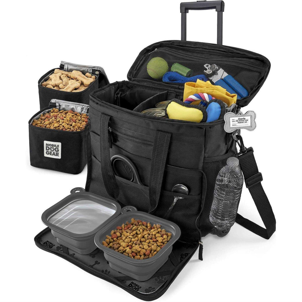 Rolling Bag T108
